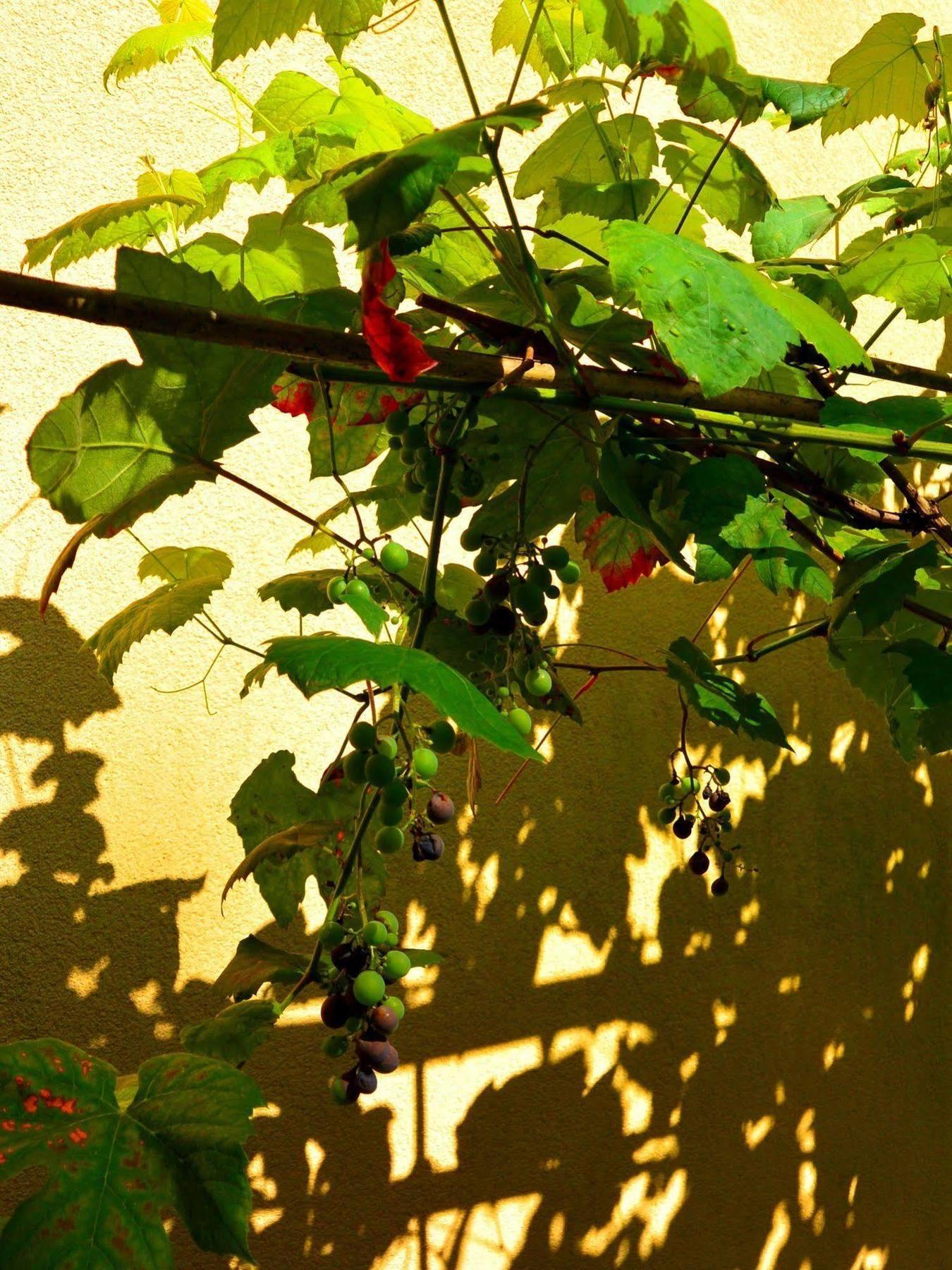 Apparthotel Belle Vue La Louviere Bagian luar foto
